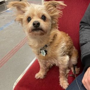 Hi my name is Liv and this is my dog Barkley.  Help us clear some closet space!